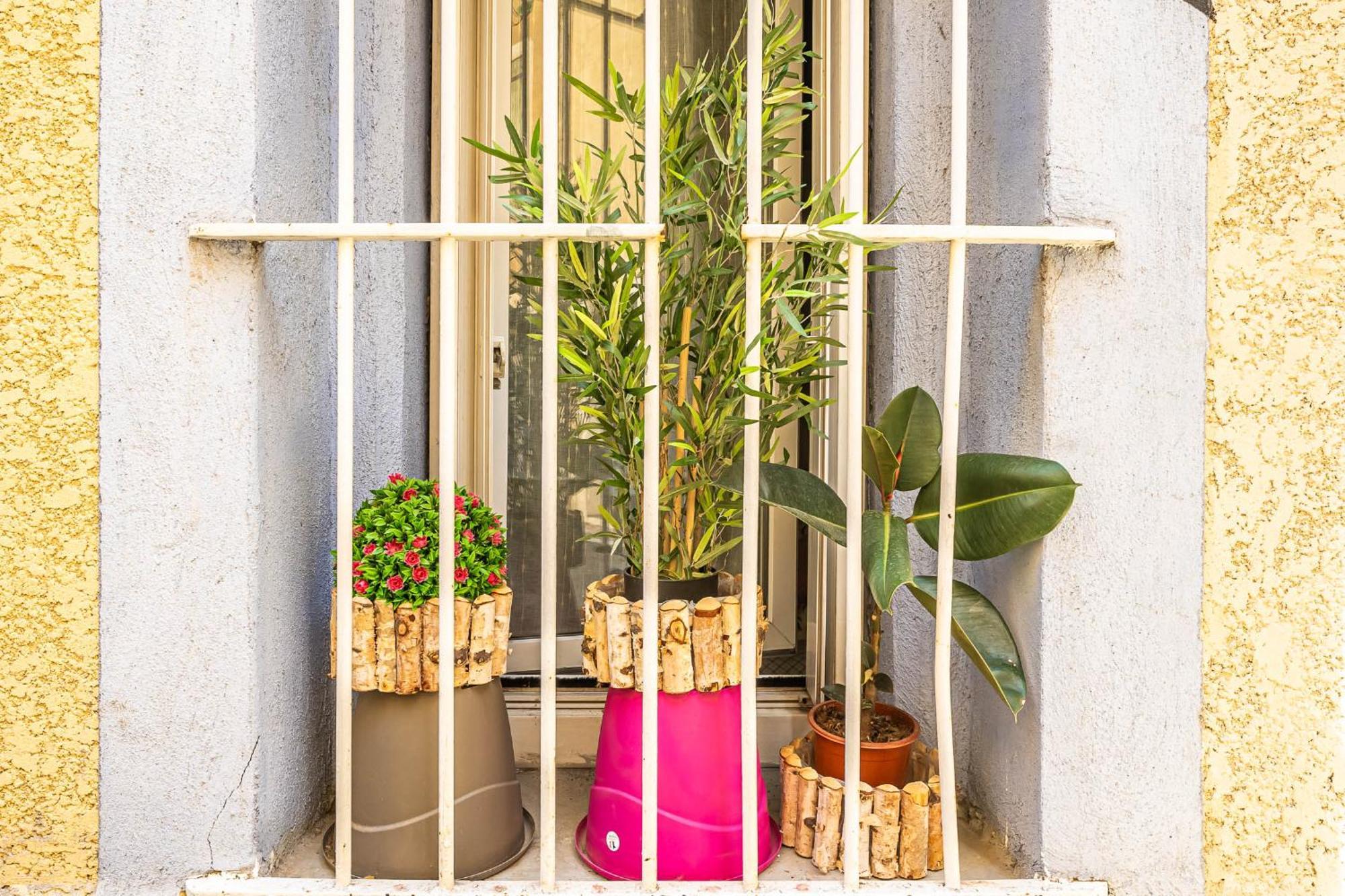 Le Cocon Urbain Lägenhet Narbonne Exteriör bild